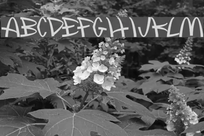 McLawsuit Font examples