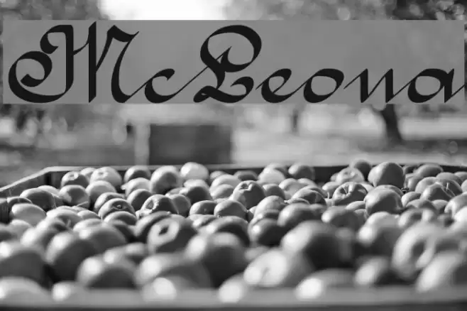 McLeona Font examples