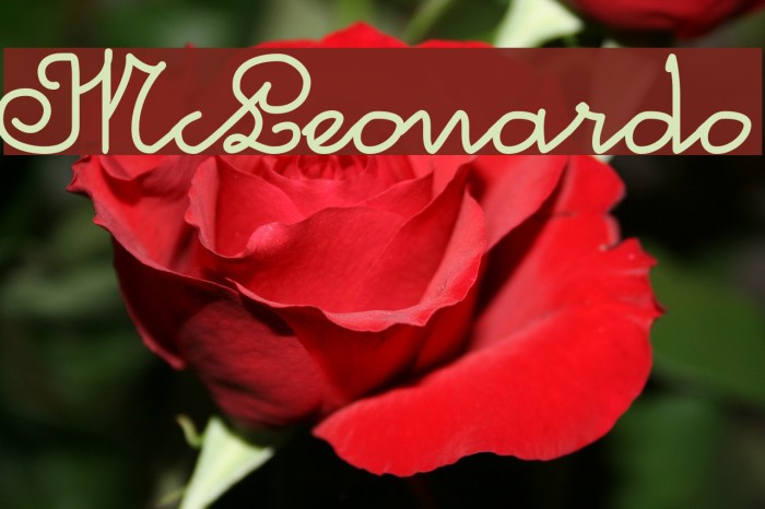 McLeonardo Font examples