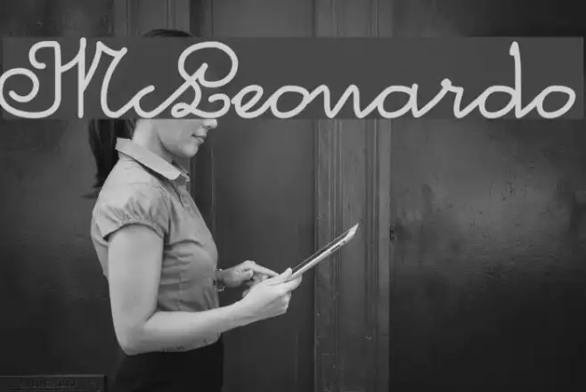 McLeonardo Example 3