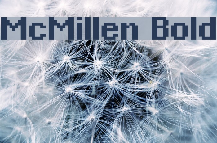 McMillen Bold Example 1