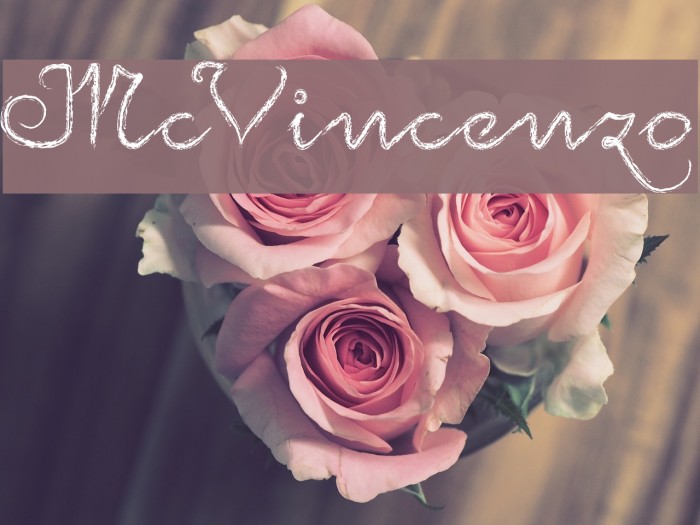 McVincenzo Font examples