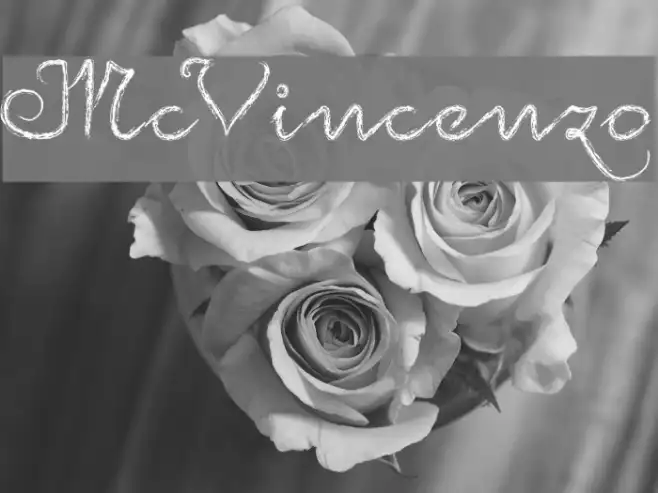McVincenzo Example 2