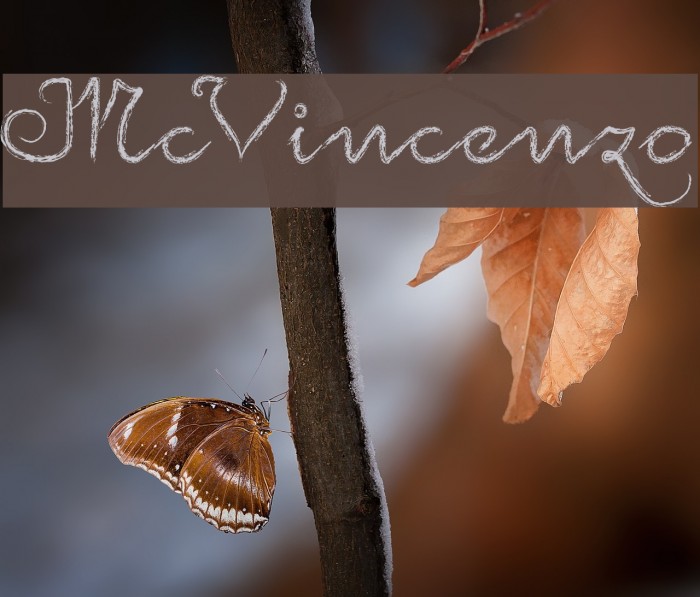 McVincenzo Font examples