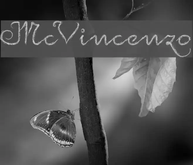 McVincenzo Example 3