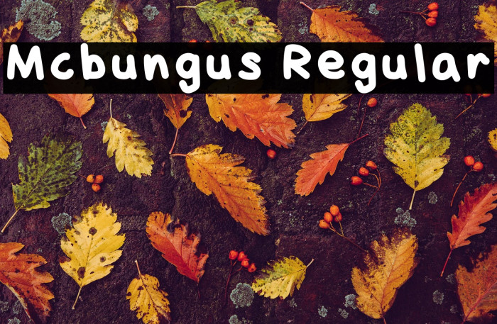 Mcbungus Regular Example 2