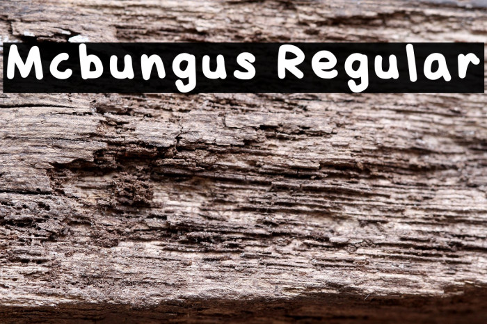 Mcbungus Regular Example 3