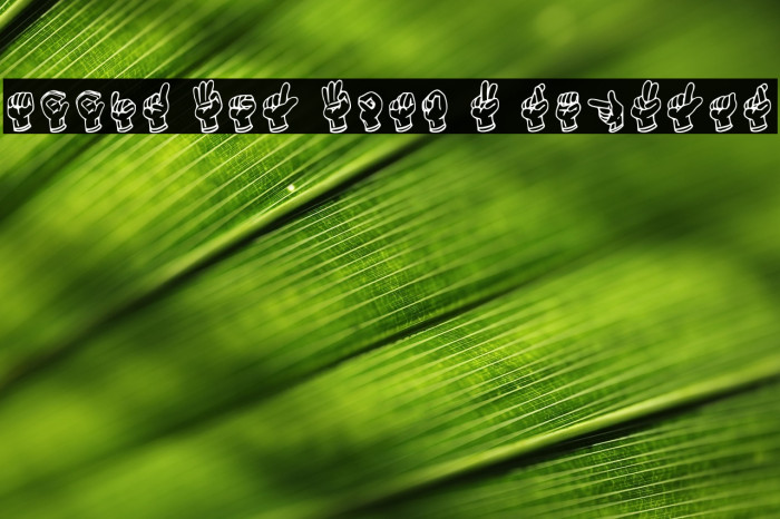 Mccid Fsl Font 2 Regular Example 2