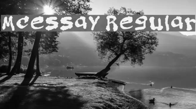 Mcessay Regular Font examples