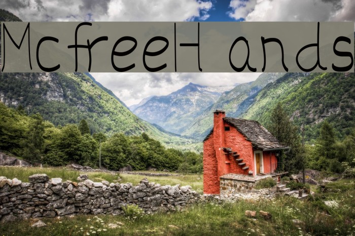 McfreeHands Example 3