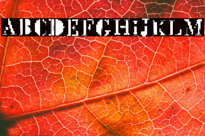 Mck Glitch Regular Example 2