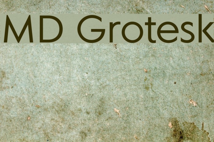 MD Grotesk Font examples