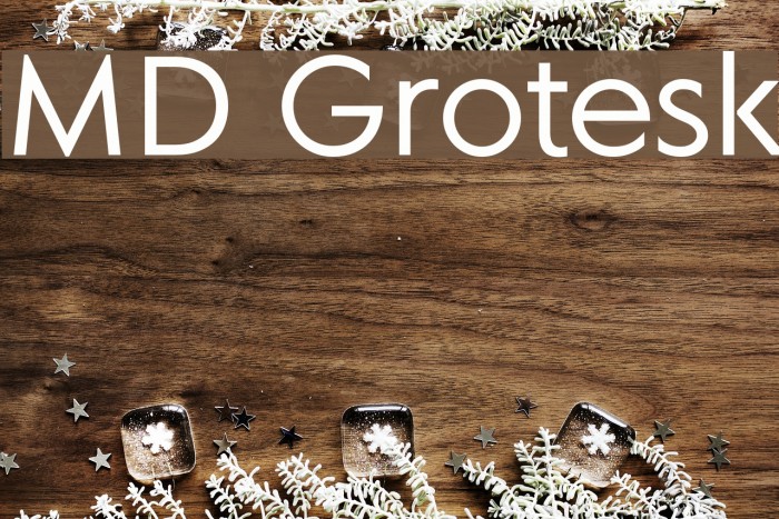 MD Grotesk Font examples