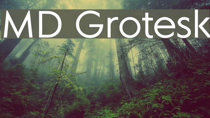 MD Grotesk Font examples