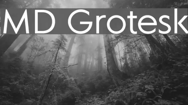 MD Grotesk Example 3