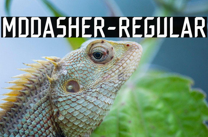 MDDasher-Regular Example 1