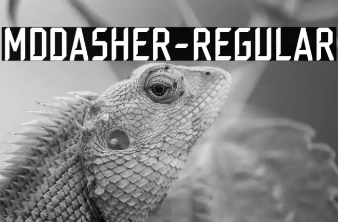 MDDasher-Regular Example 1
