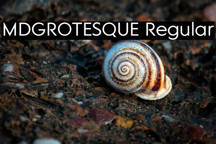 MDGROTESQUE Regular Example 3