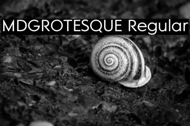 MDGROTESQUE Regular Font examples
