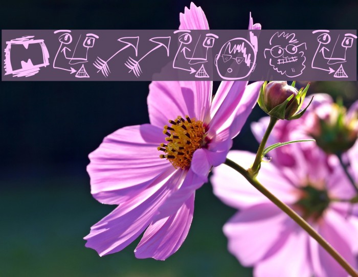 Mdoodled Font examples