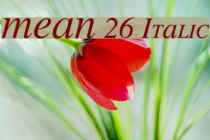 MEAN 26 Italic Fonte examples