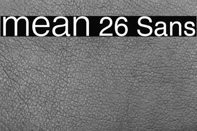 MEAN 26 Sans Example 3