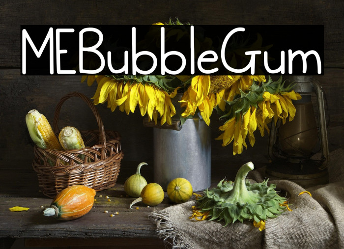 MEBubbleGum Example 3