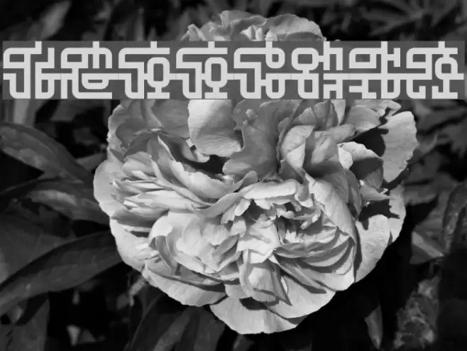 MECCHA_GO Font examples