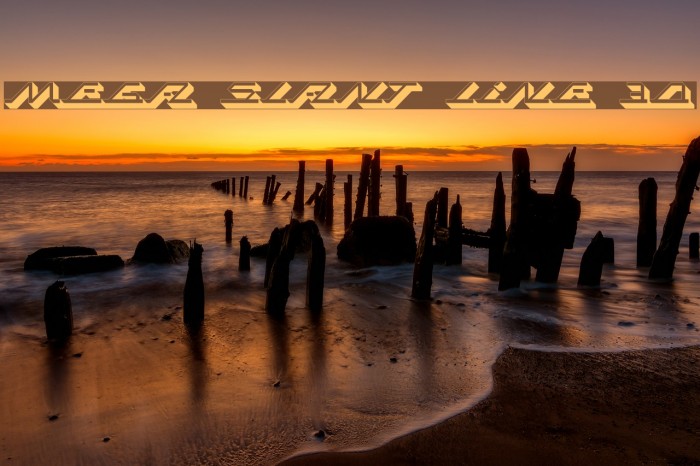 MEGA SLANT LINE 3D Font examples