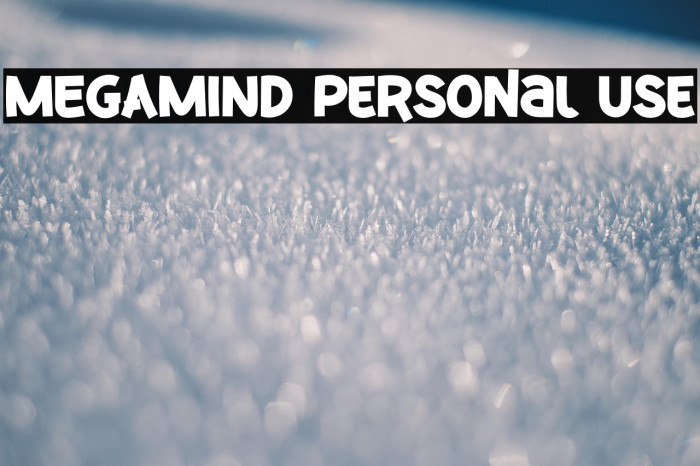 MEGAMIND Personal Use Example 1