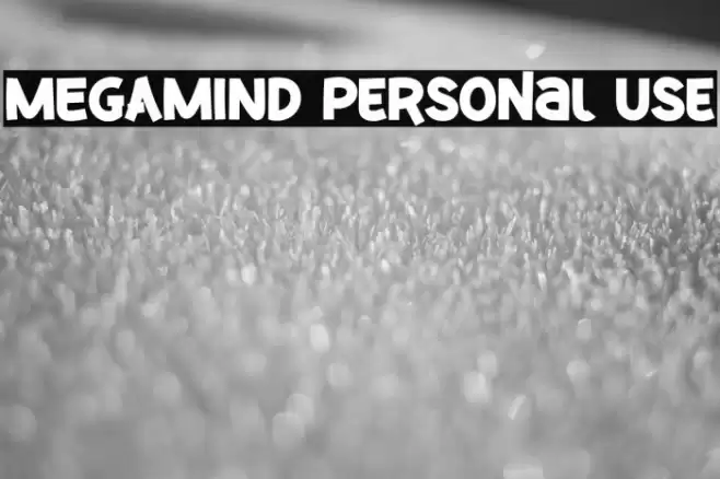 MEGAMIND Personal Use フォント examples