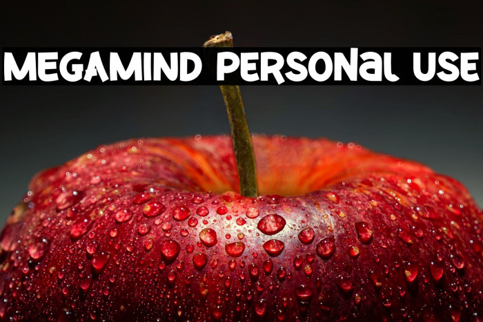 MEGAMIND Personal Use Example 2