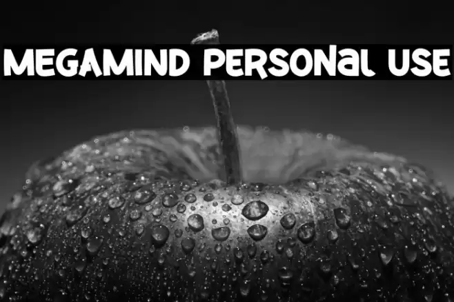 MEGAMIND Personal Use フォント examples
