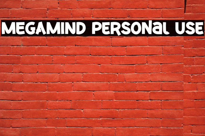 MEGAMIND Personal Use Example 3