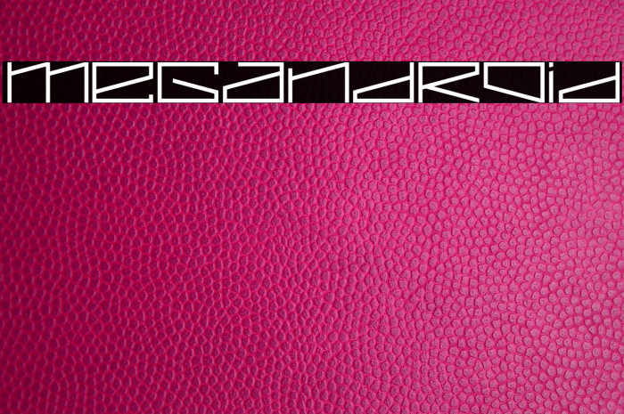 MEGANDROID Example 1