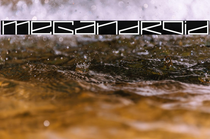 MEGANDROID Example 2