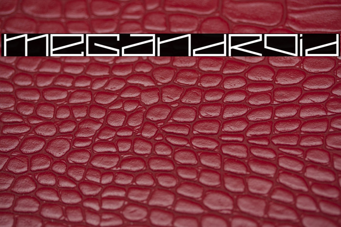 MEGANDROID Example 3