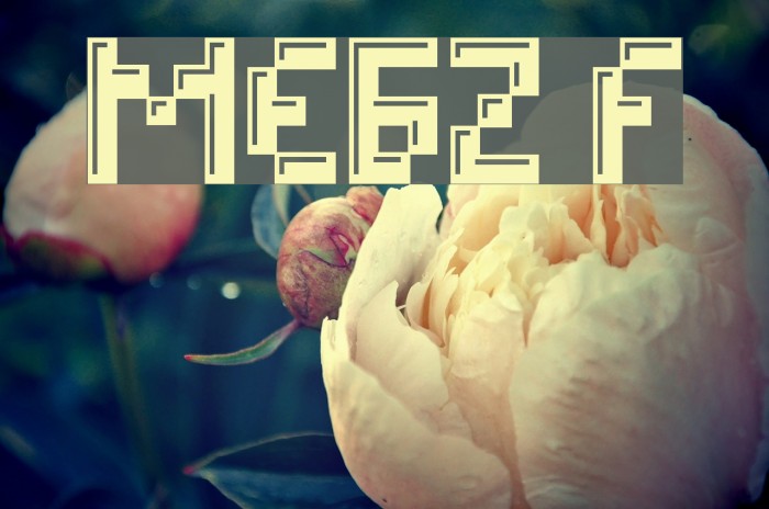 MEGZ Font examples