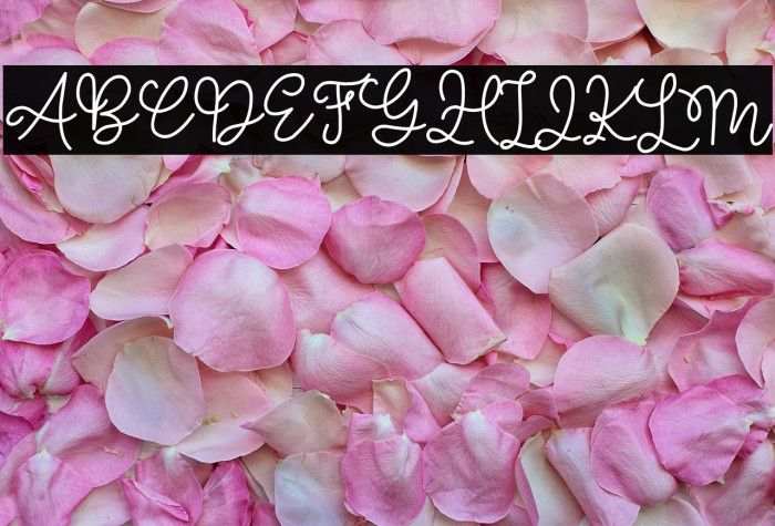 MELANIE ROSE DEMO Example 3