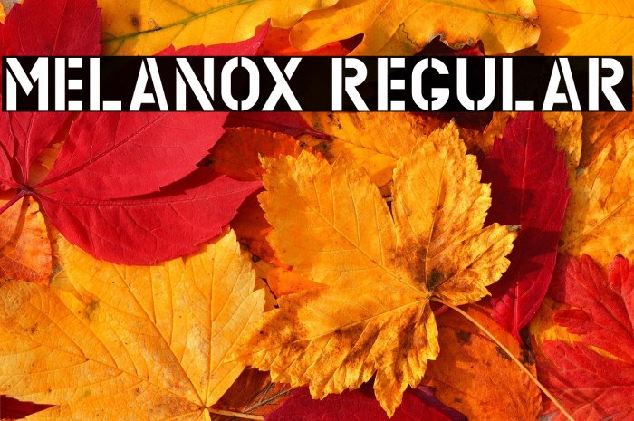 MELANOX Regular Example 3