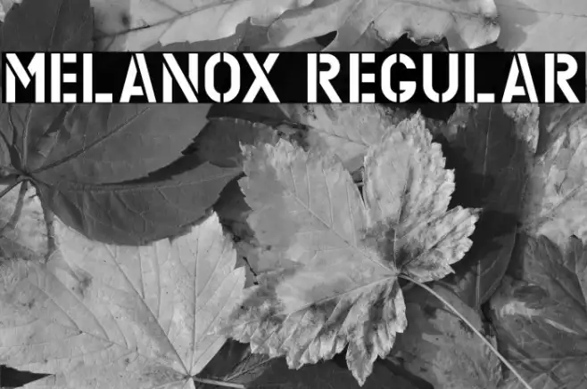 MELANOX Regular Example 3