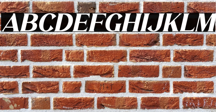 MELISA Italic Example 1