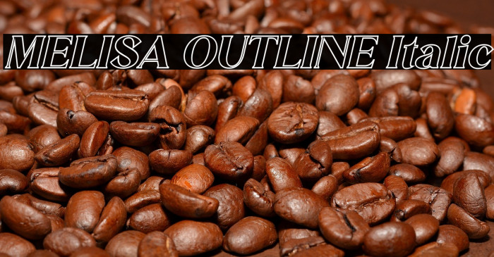 MELISA OUTLINE Italic Example 1