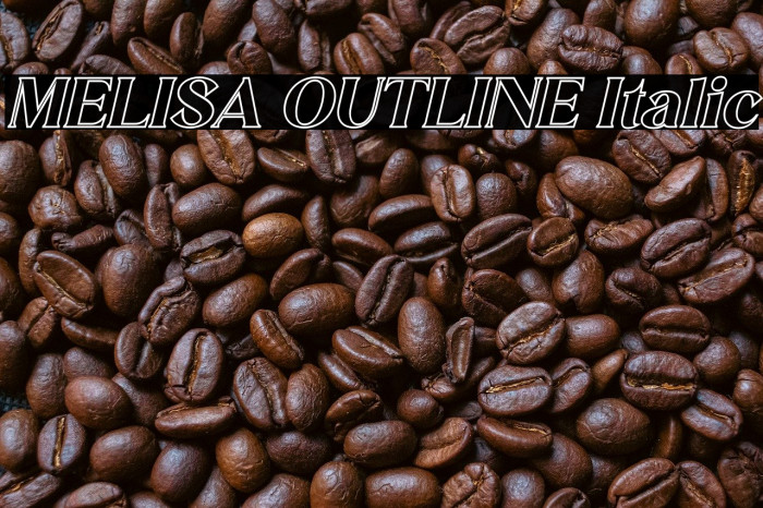 MELISA OUTLINE Italic Example 3