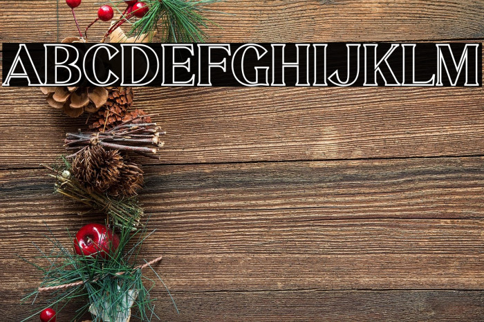 MELISA OUTLINE Example 3