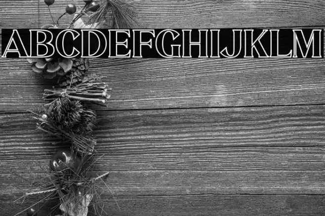 MELISA OUTLINE Font examples