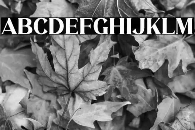 MELISA Font examples