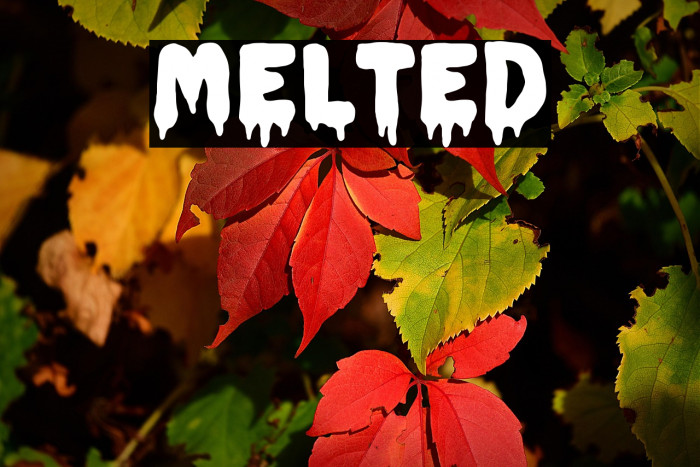 MELTED Caratteri examples