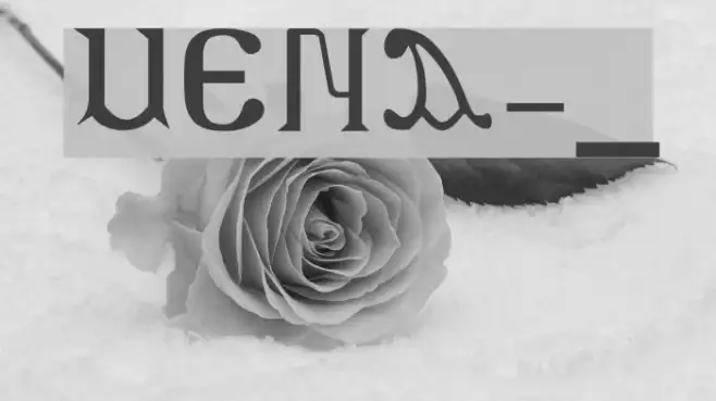 MENA-1 Example 2