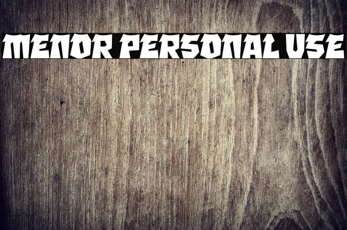 MENOR Personal Use Example 1